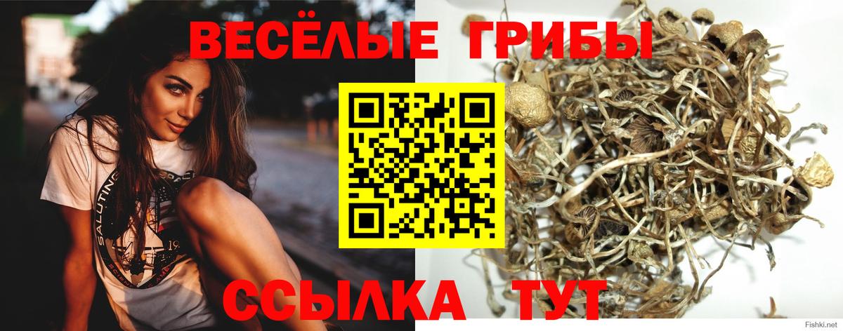 Псилоцибиновые грибы ЛСД  Галлюциногенные грибы прущие грибы  Вход с VPN  Сургут 